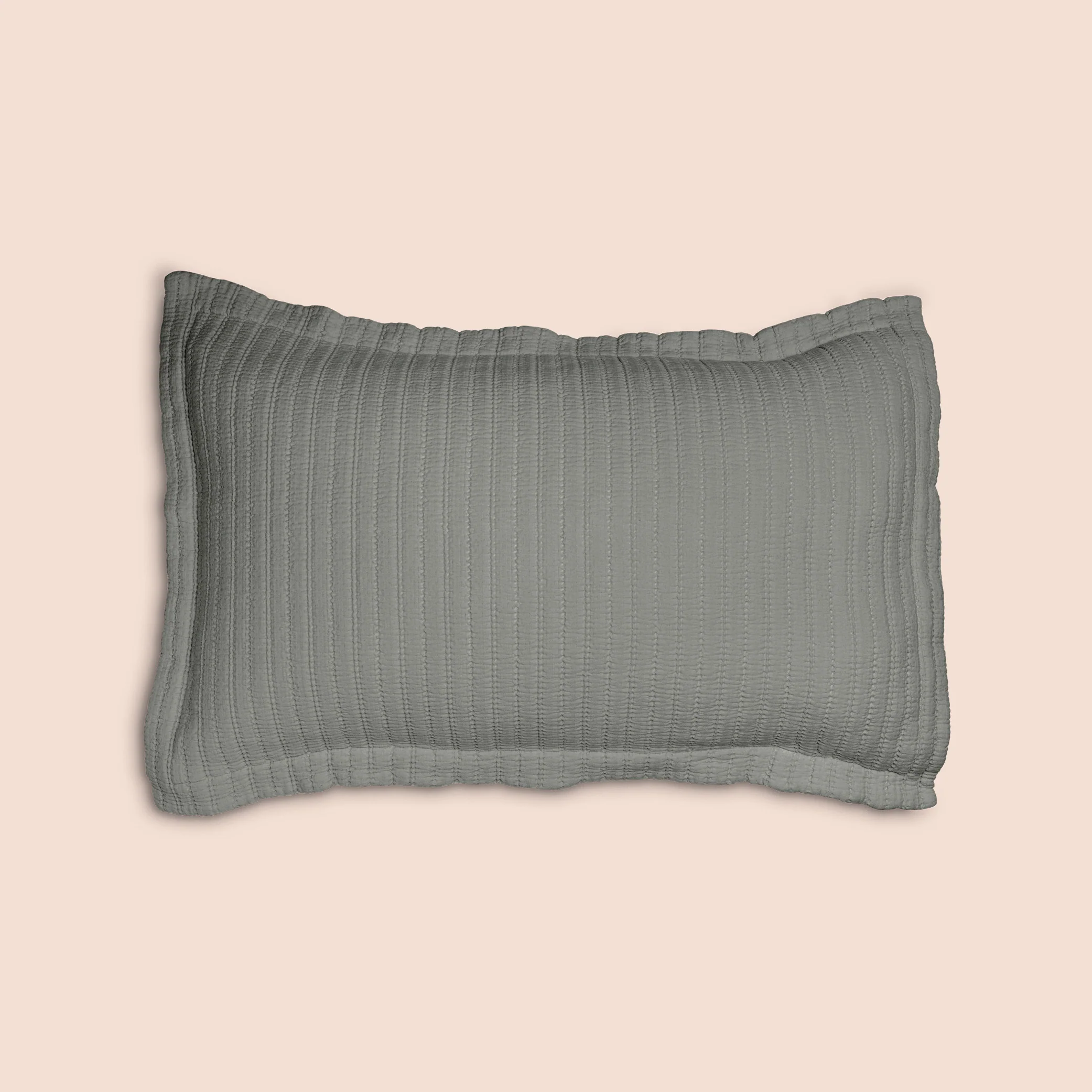 Dr. Weil Ridgeback Pillow Shams